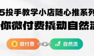 2025投手教学小店随心推系列课程：带你微付费撬动自然流