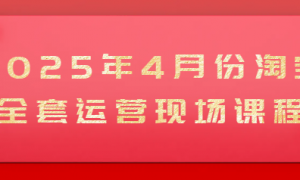 2025年4月份淘宝全套运营现场课程