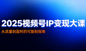 2025 视频号 IP 变现大课：从流量到盈利的可复制指南