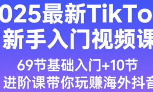 2025最新TikTok新手入门视频课，69节基础入门+10节进阶课带你玩赚海外抖音