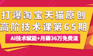 打爆淘宝天猫原创高阶技术课第65期：AI技术赋能+月薅36万免费流