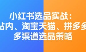 小红书选品实战：站内、淘宝天猫、拼多多，多渠道选品策略