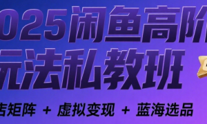 2025 闲鱼高阶玩法私教班：多店矩阵 + 虚拟变现 + 蓝海选品