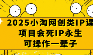 2025小淘网创类IP课，项目会死IP永生，可操作一辈子