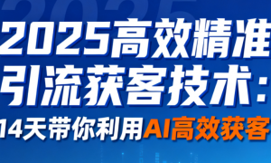 2025高效精准引流获客技术：14天带你利用AI高效获客