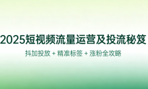2025 短视频流量运营及投流秘笈：抖加投放 + 精准标签 + 涨粉全攻略