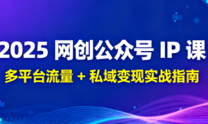 2025 网创公众号 IP 课：多平台流量 + 私域变现实战指南