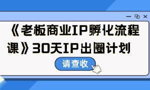 《老板商业IP孵化流程课》30天IP出圈计划