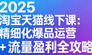 2025 淘宝天猫线下课：精细化爆品运营 + 流量盈利全攻略