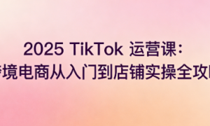 2025TikTok 运营课：跨境电商从入门到店铺实操全攻略
