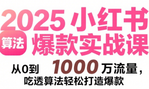 2025小红书爆款实战课：从 0 到 1000 万流量，吃透算法轻松打造爆款