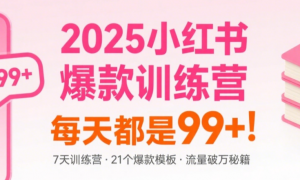 2025小红书爆款训练营 每天都是99+