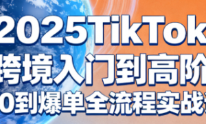 2025TikTok 跨境入门到高阶：从0到爆单全流程实战课