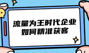 流量为王时代企业如何精准获客：短视频精准获客系列教程