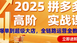 2025 拼多多高阶实战课：从爆单到超级大店，全链路运营全教会