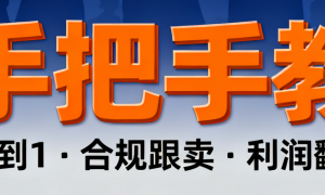 2025跨境跟卖全流程课程 选品 + 物流 + 申诉，手把手教