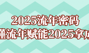 2025流年密码，读懂流年赋能2025拿成果