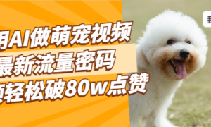 利用AI做萌宠视频 最新流量密码，视频轻松破80w点赞