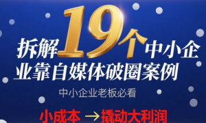 拆解19个中小企业靠自媒体破圈案例，中小企业老板必看教你用小成本撬动大利润