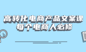 高转化电商产品文案课：每个电商人必修