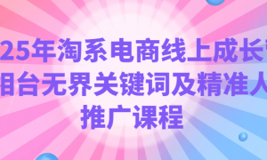 2025年淘系电商线上成长营 万相台无界关键词及精准人群推广课程