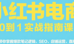 小红书电商从0到1实战指南课程 43节带你掌握爆款笔记逻辑、SEO、店铺运营、直播技巧