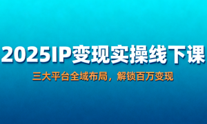 2025IP 变现实操线下课：三大平台全域布局，解锁百万变现