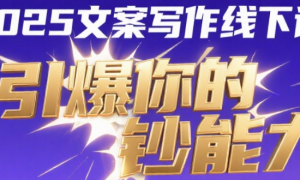 2025文案写作线下课：引爆你的钞能力，创始人IP必看系列（录音无画面版+资料）