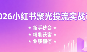 2026小红书聚光投流实战课：新手秒会+精准获客+业绩翻倍