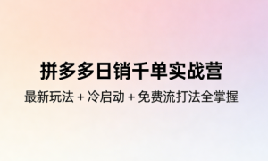拼多多日销千单实战营：最新玩法 + 冷启动 + 免费流打法全掌握
