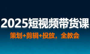 2025短视频带货课 策划 + 剪辑 + 投放，全教会