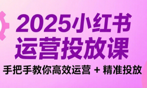2025小红书运营投放课：手把手教你高效运营 + 精准投放