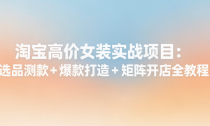 淘宝高价女装实战项目：选品测款 + 爆款打造 + 矩阵开店全教程