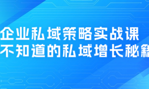 企业私域策略实战课 你不知道的私域增长秘籍