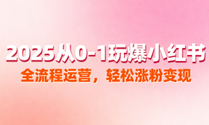 2025 从 0-1 玩爆小红书：全流程运营，轻松涨粉变现