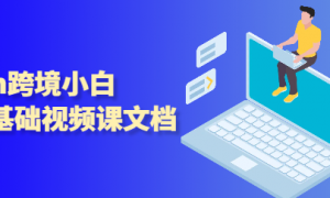 shein跨境小白入门基础视频课+文档