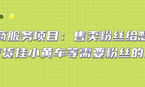 抖商服务项目：售卖粉丝给想要带货挂小黄车等需要粉丝的人