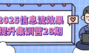 2025信息流效果提升集训营28期
