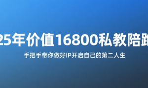 2025年价值16800私教陪跑课 手把手带你做好IP开启自己的第二人生