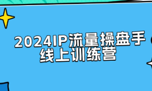 2024IP流量操盘手线上训练营