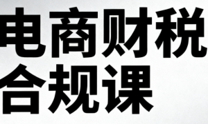 2025 电商财税合规课：从工商税务到稽查应对，实战避坑（适合老板+财务）
