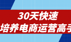 30天快速培养电商运营高手
