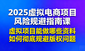 2025虚拟电商项目风险规避指南课：虚拟项目能做哪些资料 如何彻底规避版权问题