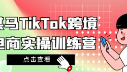 某马TikTok跨境电商实操训练营