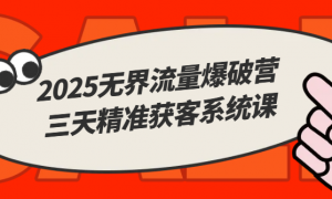 2025无界流量爆破营：三天精准获客系统课