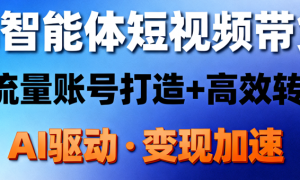 AI 智能体短视频带货：高流量账号打造 + 高效转化
