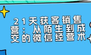 21天获客销售营：从陌生到成交的微信经营术