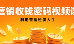 营销收钱密码视频课 利用营销逆袭人生