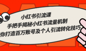 小红书引流课 手把手揭秘小红书流量机制带你打造百万账号及个人引流转化技巧