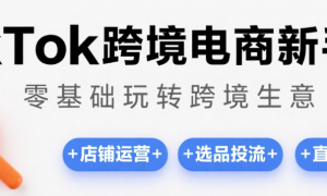 TikTok 跨境电商新手课：零基础玩转跨境生意 店铺运营 + 选品投流 + 直播玩法